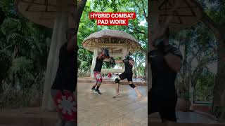 HYBRID COMBAT SYSTEM "PAD WORK"   #trending #viral #shorts #everyone #highlights