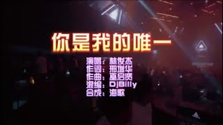 林俊杰 《你是我的唯一》DJBilly ProgHouse KTV 导唱字幕 （备有伴奏视频）