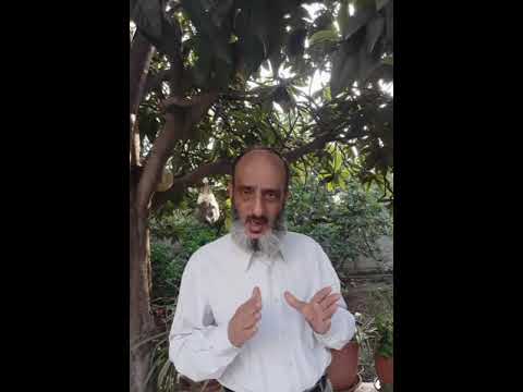 جند ما هنالك مهزوم من الاحزاب