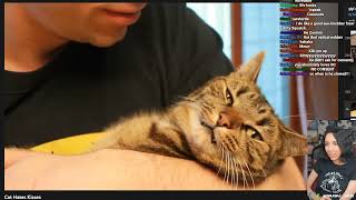 Susu- Stop Harassing Your Cat!