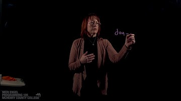 Chapter 2.5:  Variables - PRG105