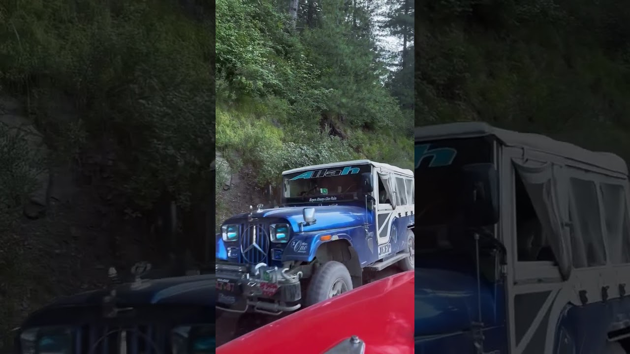 STOP Wasting Time on Boring Trails - Sharan Forest Offroad Jeep Adventure