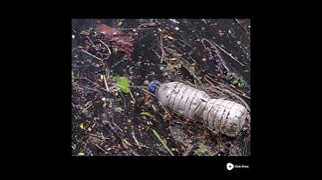 Rác thải nhựa đã tràn nay trên khắp hành của chúng ta..mỗi người hãy có ý thức ..bớt dùng nhựa ..