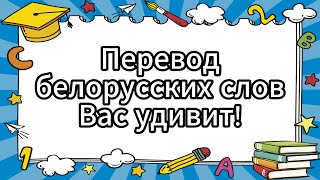 Перевод этих белорусских слов Вас удивит! Словарь белорусских слов. Урок белорусского языка