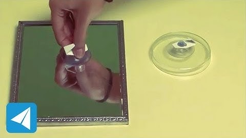 Suction cup holds onto to surfaces | Atmospheric Pressure | Physics