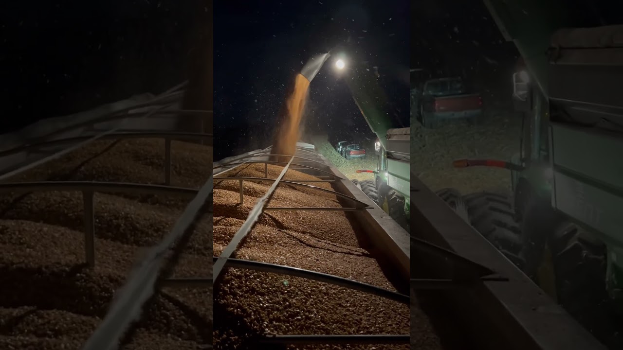 We found some 300 bu/acre corn last night 