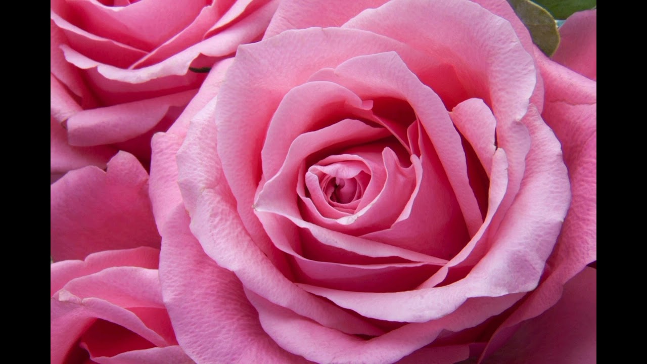 WHEN THE WORLD GOES QUIET (Love Music)