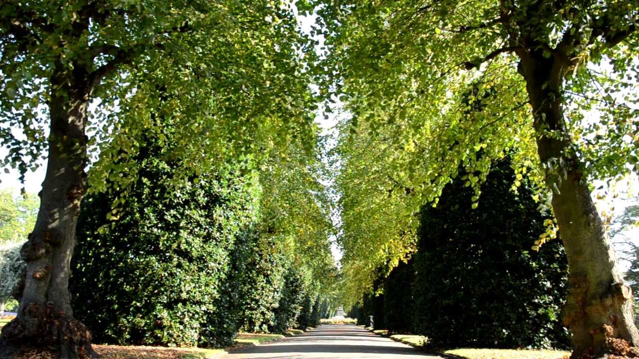 Chester City Grosvenor Park in Autumn | Experiment in HD by Pete Simcoe