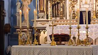 Our Lady of Czestochowa Sunday Mass - February 22, 2026