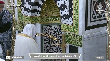 سورة آل عمران 75 -84 | فجر السبت 6 صفر 1446هـ | د. عبدالمحسن القاسم