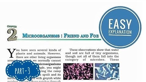 Ch-2 Microorganisms: Friend and Foe🦠 Part-3 NCERT Class 8th science | Easy explanation✅