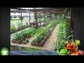 View Container Gardening For Vegetables Ideas Pics