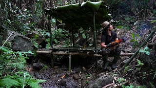 Stream Fishing, Chicken Trap, Wild Food, Catch and Cook: Survival Alone | EP.250