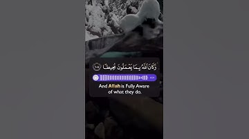 قرآن كريم بصوت القارئ أحمد حمادي تلاوة هادئ💚🌿 حالة واتس اسلامية /ستوريات انستغرام