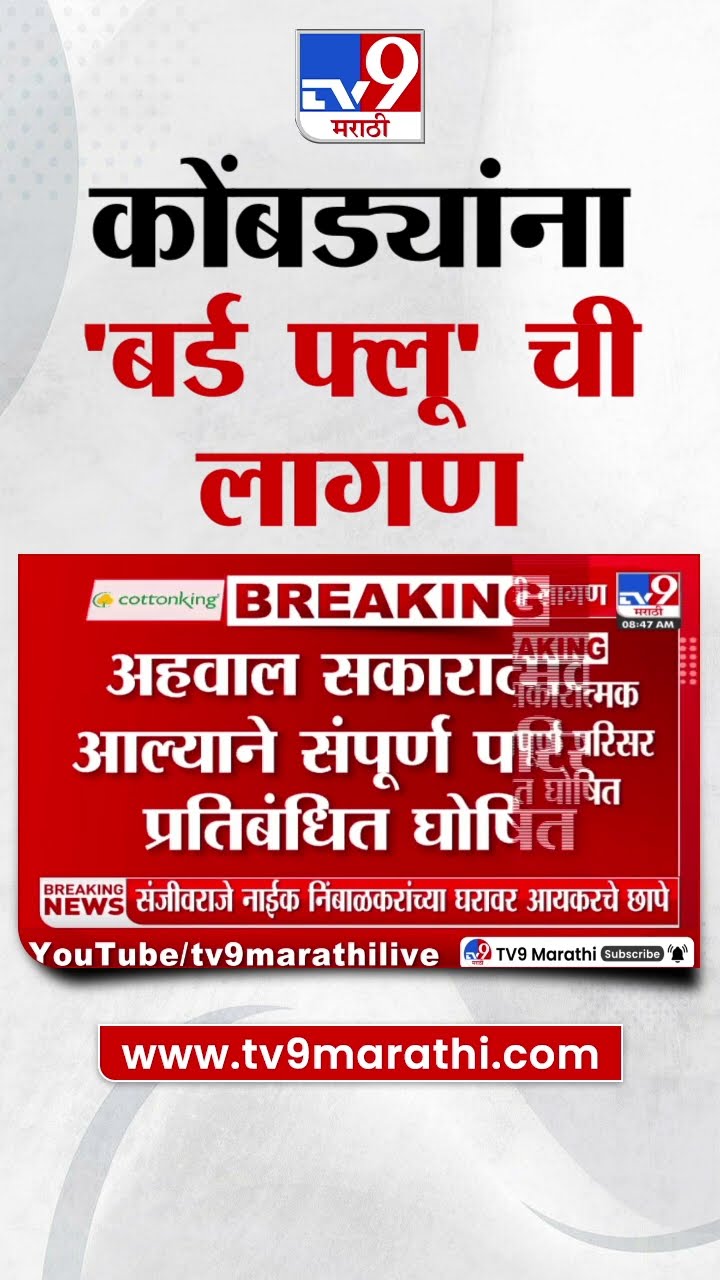 Nagpur च्या मोठा ताजबाग परिसरात कोंबड्यांना 'बर्ड फ्लू'ची लागण : Bird flu