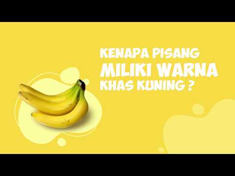 Video: Mengapa xanthophyll berwarna kuning?