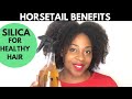 Horsetail for Faster Hair Growth| Horsetail Plant| TipTuesday