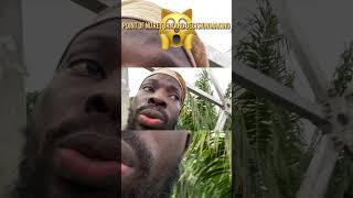 Point of No Return in Lekki conservation centre #viral #travel