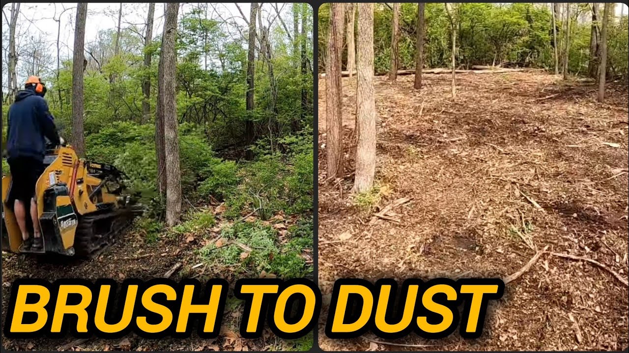 Расчистка кустарника в Индианаполисе: мини-каталка против разросшейся жимолости