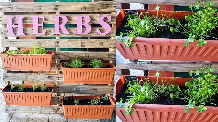 DIY PALLET HERB GARDEN