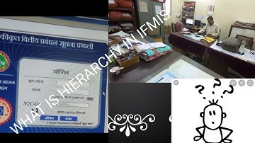 WHAT IS HIERARCHY IN IFMIS PORTAL (IFMIS पोर्टल में HIERARCHY क्या होती है)