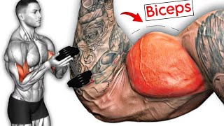 8 Best Exercises To Build Huge Biceps - ARMS Workout