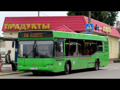 Тюнинг автобусов маз. Автобусный парк 5 вилейка. Вилейка автобус. Неман 420224-511-01. Mahsue240 автобус 1981 года выпуска.