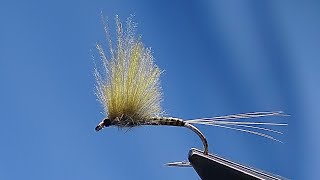 Tying a Quilled Dry Fly By Scott Jackson 2026