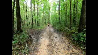 Franklin State Forest 2021