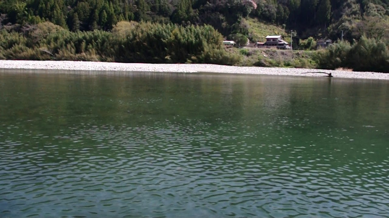 春の仁淀川は、屋形船で、川面から｜仁淀ブルー通信