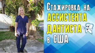 Как я искала оплачиваемую стажировку на ассистента дантиста в США, и что из этого получилось