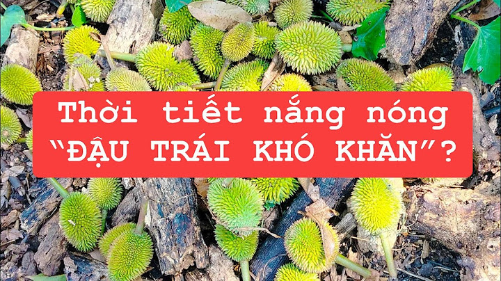 Cần kiểm nghiệm chất sinh nhiệt với laoi5 thuốc nào năm 2024