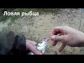 Советск и снова в бой 💪 Ловля рыбца 12+ рыбалка!