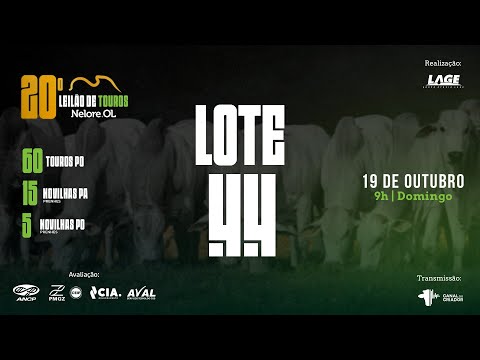 LOTE 44 A6624 PO - 20º Leilão de Touros Nelore OL
