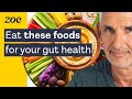 The 5 things you need to know for better gut health with professor tim spector