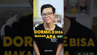Dormice juga ga boleh makan sayuran yaa guys 😁#dormice #africanpygmydormice #SahabatKecilGamareptile