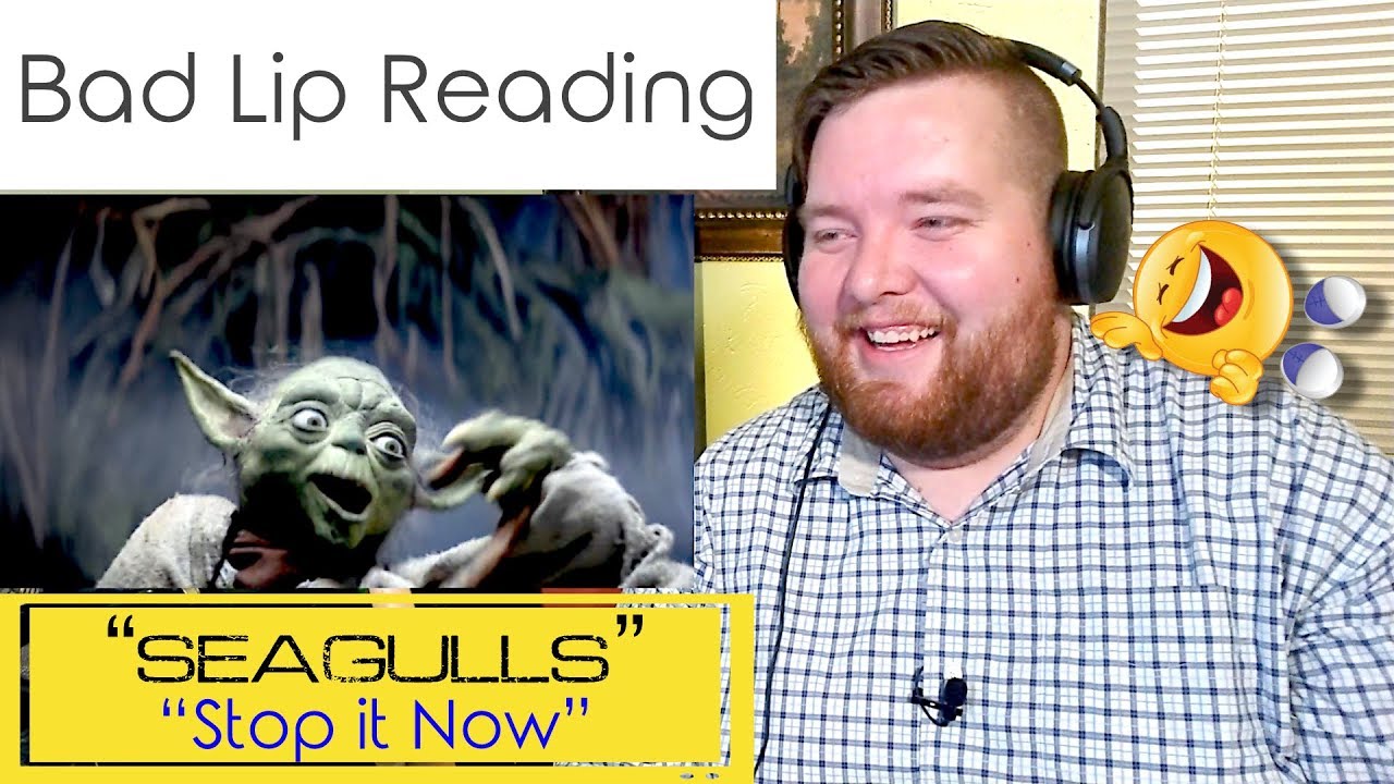 A Bad Lip Reading Seagulls STOP IT NOW Jerod M Reaction YouTube A bad lip reading seagulls stop it now jerod m reaction youtube