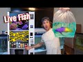 BUYING LIVE FISH FROM A VENDING MACHINE!! *Do not Press*