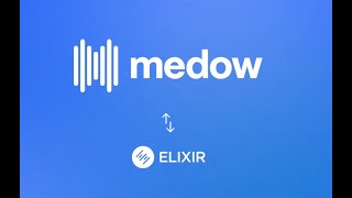 Medow x Elixir Demo