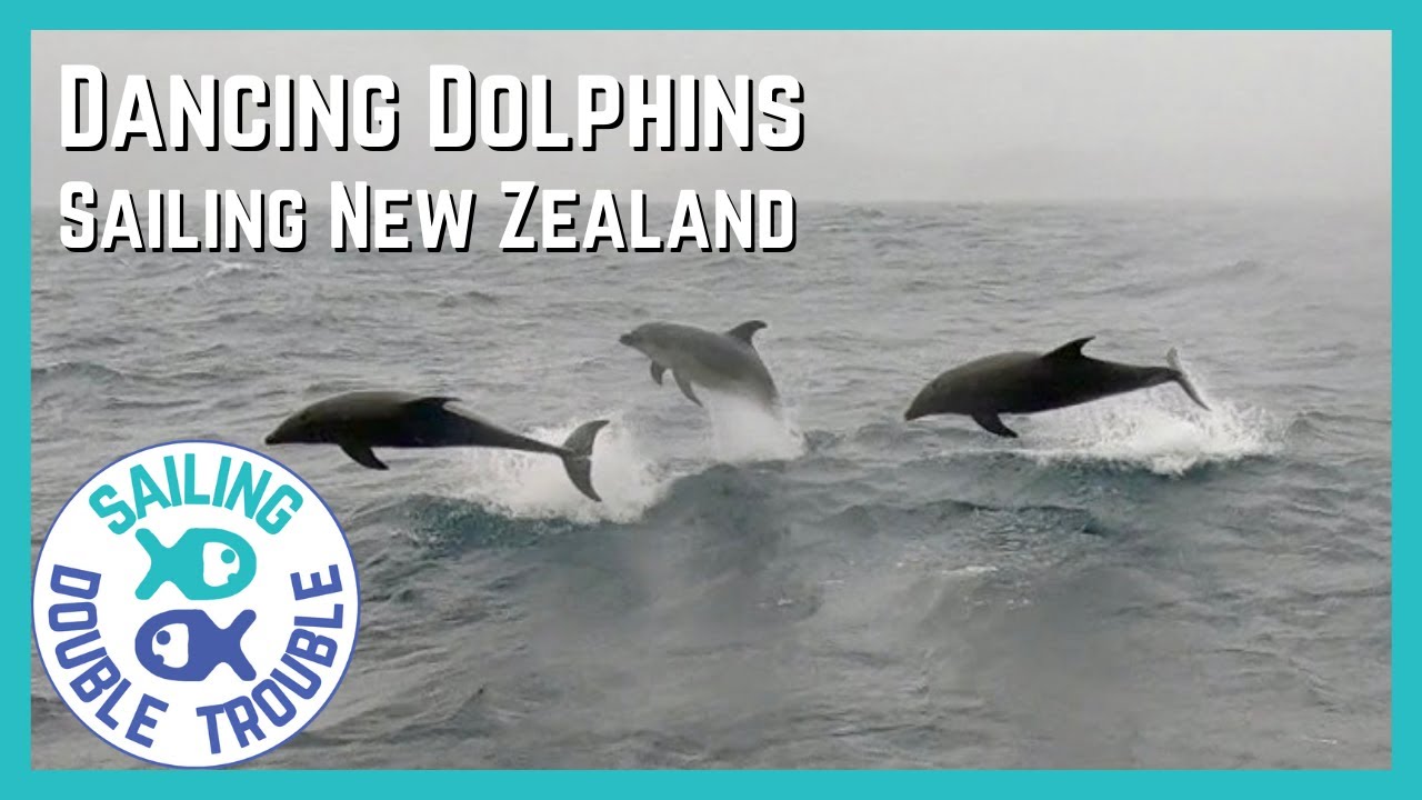 Sailing to Great Barrier Island - DELIGHTFUL DOLPHINS EP33