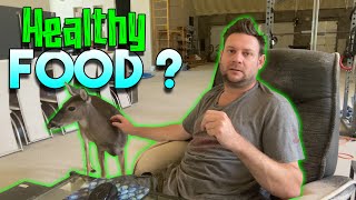 Why Society is Obsessed with Healthy Food ? Think About it Profile