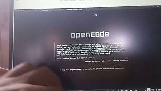 Natasha API Swagger data independent approach (Accion)