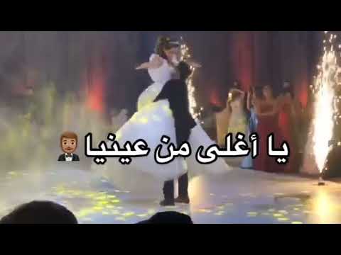 حالة وتس تامر حسني اغنية الله يباركلك فيك 