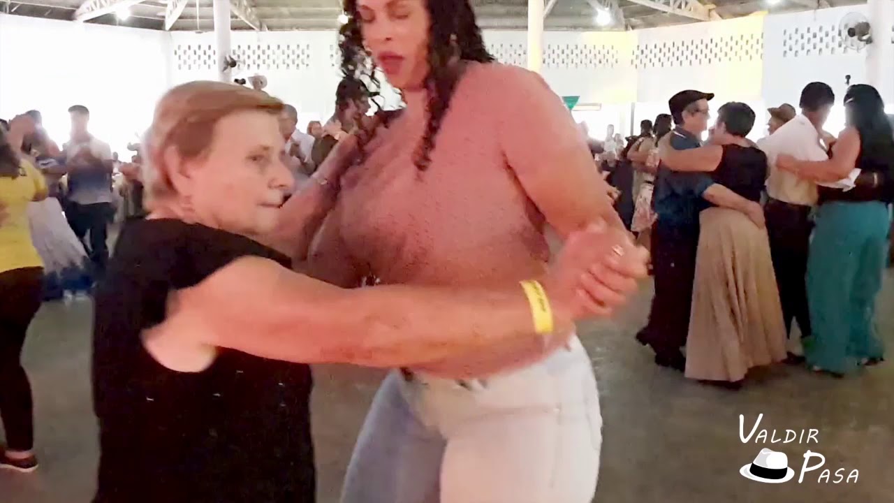 3 MUSICAS INEDITAS 2019 VALDIR PASA