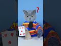 Do You Know The Secrets Of These MAGIC ?????| Cat TikTok Challenge #funnycat #catsoftiktok  #shorts