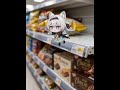 It seems that Firefly is onto something! #cat #cute #fireflyhonkaistarrail #firefly #funny #memes