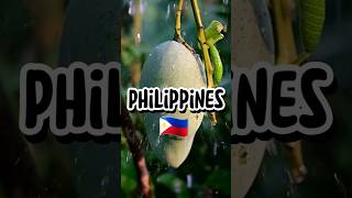 Amazing Facts About The Philippines