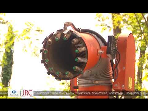 აზიური ფაროსანას წინააღმდეგ გატარებული ღონისძიებების შეჯამება 15 11 18