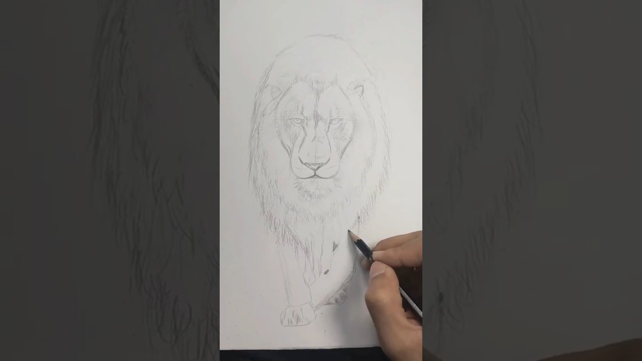 The King of the Jungle in His Majesty part one