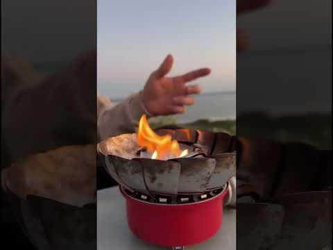 Горячий чай, плед и закат